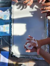 1000016779