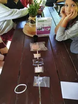 2den (44)