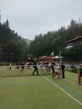 2den (86)