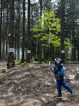 3den (19)