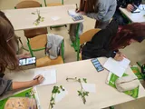 botanika (1)