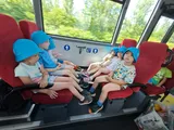 červen (54)
