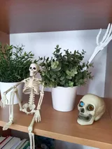 hello (2)