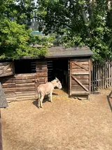 IMG_5674