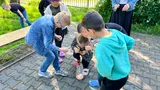 IMG_7529