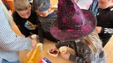 IMG_7561