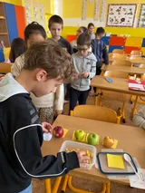 jablka (10)