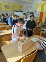 lesní volby (1)