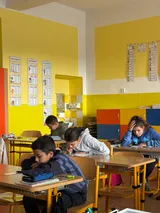 lesní volby (12)