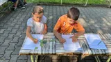 matematika (21)
