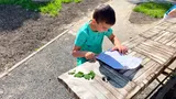 matematika (25)