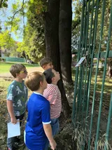 podzimní šifra (13)