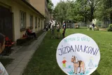 Radovánky (17)