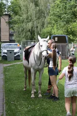 Radovánky (18)