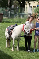 Radovánky (32)