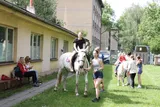Radovánky (61)