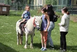 Radovánky (79)