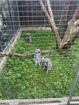 Vendryně (13)