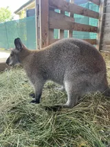 Vendryně (7)