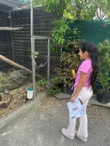 vendryně ZOO (1)
