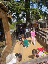 vendryně ZOO (19)