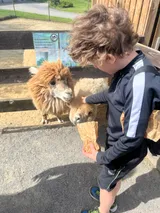vendryně ZOO (20)