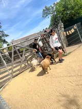 vendryně ZOO (22)