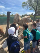 vendryně ZOO (28)