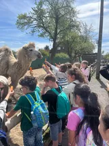 vendryně ZOO (29)
