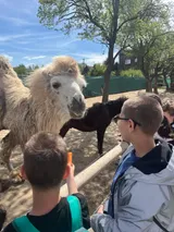 vendryně ZOO (30)