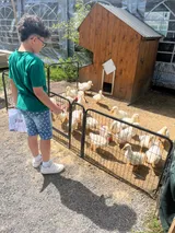 vendryně ZOO (6)