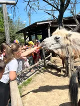 ZOO (1)