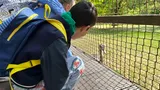 zoo (10)