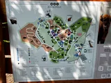 zoo (10)