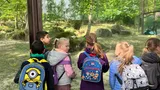 zoo (11)
