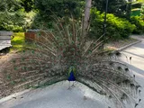 zoo (12)