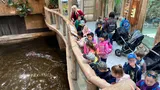 zoo (13)