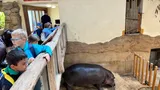 zoo (14)