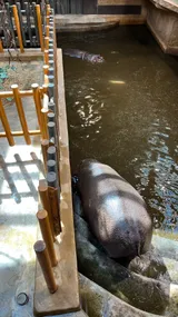 zoo (15)