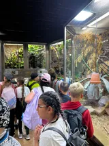 zoo (15)