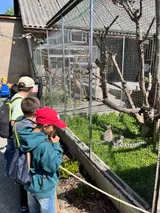 ZOO (15)