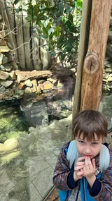 zoo (16)