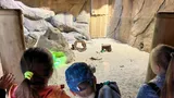 zoo (17)