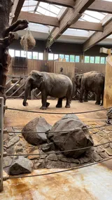 zoo (19)