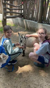 zoo (20)