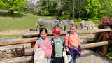 zoo (23)