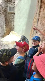 zoo (24)