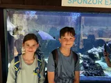 zoo (26)