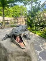 zoo (36)