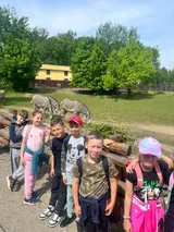 zoo (40)